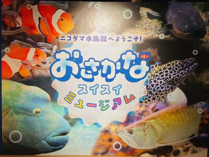 ニコタマ水族館へようこそ！おさかなスイスイミュージアム