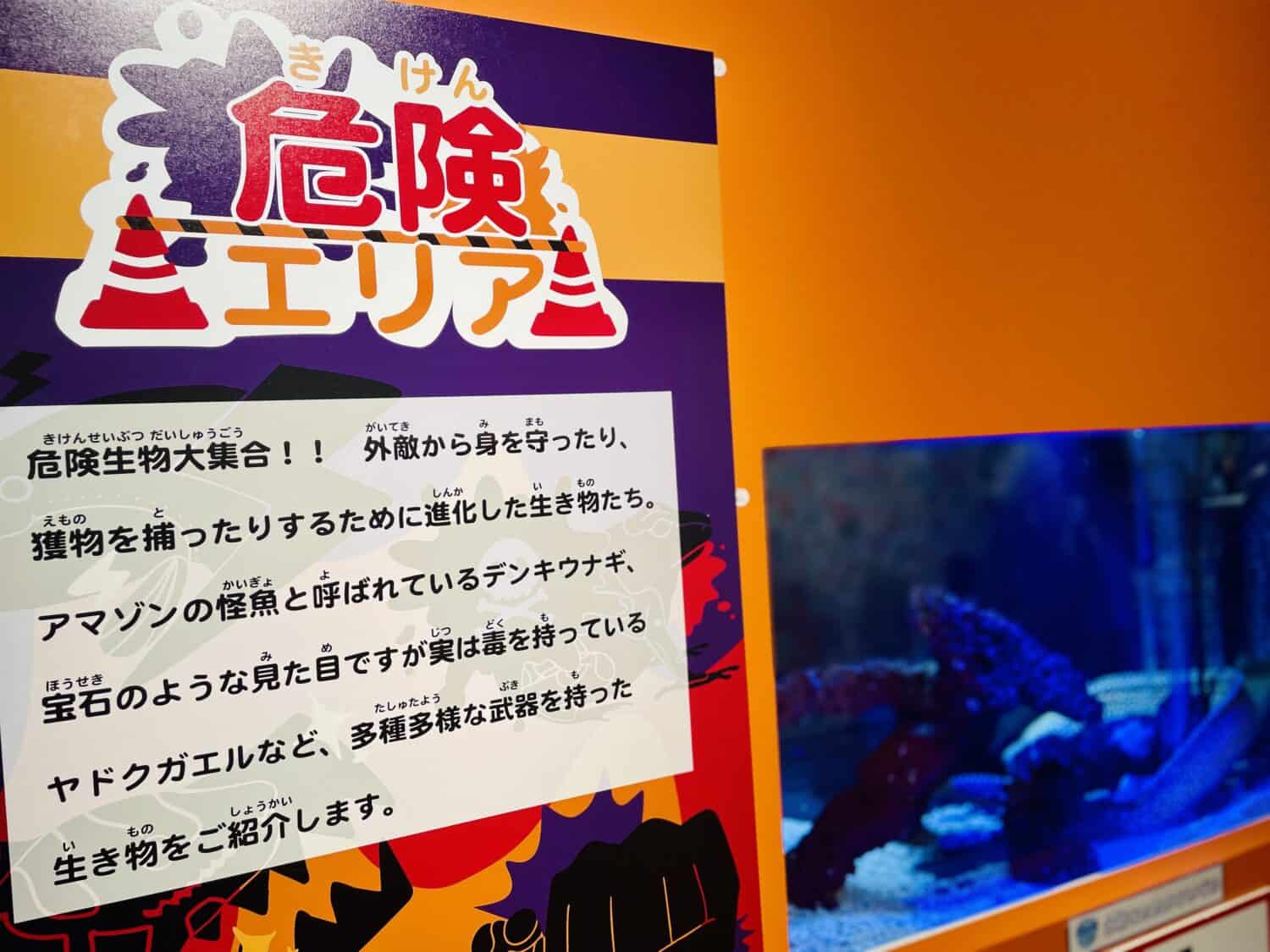 ニコタマ水族館へようこそ！おさかなスイスイミュージアム 危険エリア